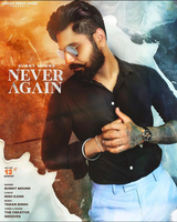Never Again
