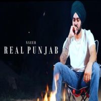 Real Punjab