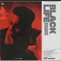 Black Life