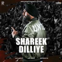 Shreek Dilliye