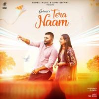 Tera Naam