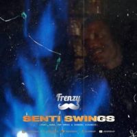 Senti Swings