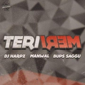 Teri Meri