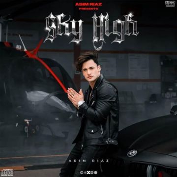 Sky High