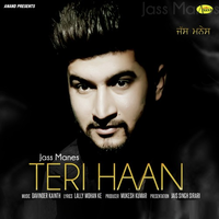 Teri Haan