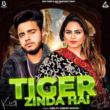 Tiger Zinda Hai
