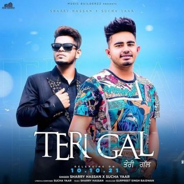 Teri Gal