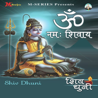 Om Namah Shivay Shiv Dhuni