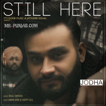 Still Here