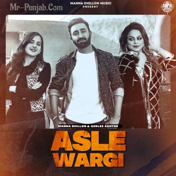 Asle Wargi