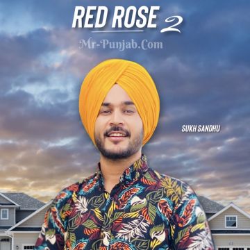 Red Rose 2