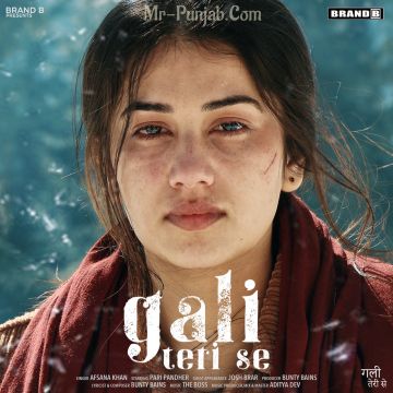 Gali Teri Se