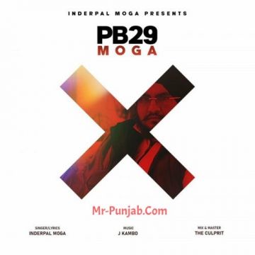 Pb29 Moga