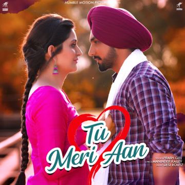 Tu Meri Aan