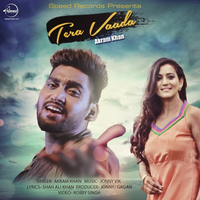 Tera Vaada