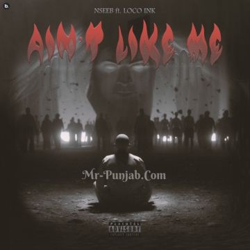 Aint Like Me