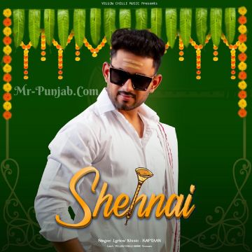 Shehnai