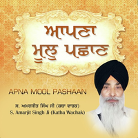 Apna Mool Pashaan