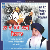 Na Ko Bairy Nahi Begana