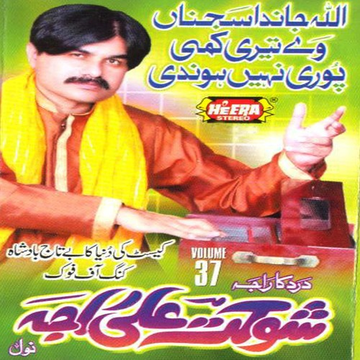 Allah Jandan Sajna, Vol. 37