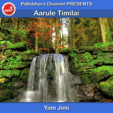Aarule Timilai