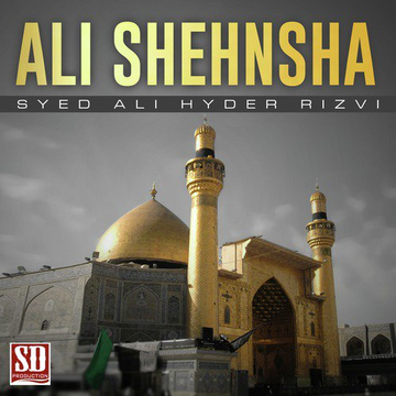 Ali Shehnsha
