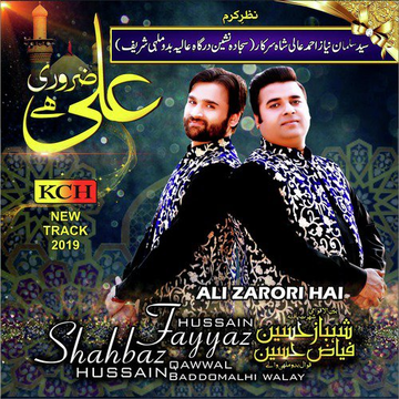 Ali Zarori Hai