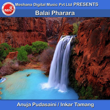 Balai Pharara