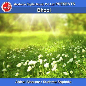 Bhool