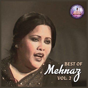 Best Of Mehnaz, Vol. 2