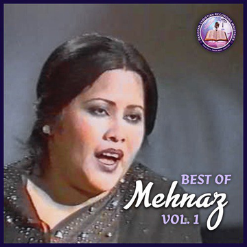 Best Of Mehnaz, Vol. 1