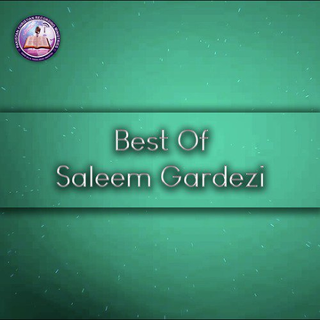Best Of Saleem Gardezi
