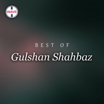 Best Of Gulshan Shahbaz