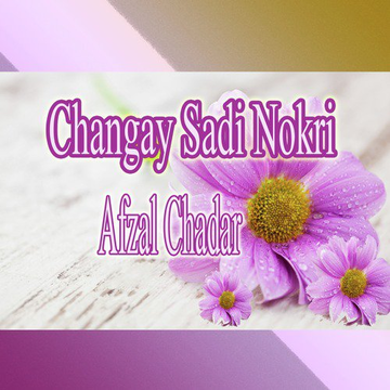Changay Sadi Nokri