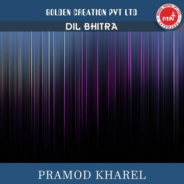 Dil Bhitra
