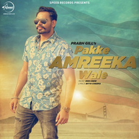 Pakke Amreeka Wale
