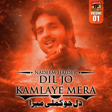 Dil Jo Kamlaye Mera, Vol. 1