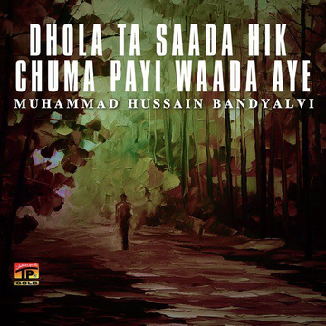Dhola Ta Saada Hik Chuma Payi Waada Aye