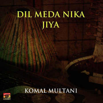 Dil Meda Nika Jiya