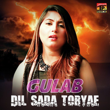 Dil Sada Toryae