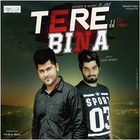 Tere Bina