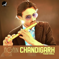 Again Chandigarh