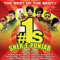 1s Sher E Punjab