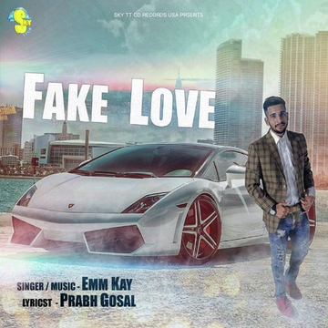 Fake Love