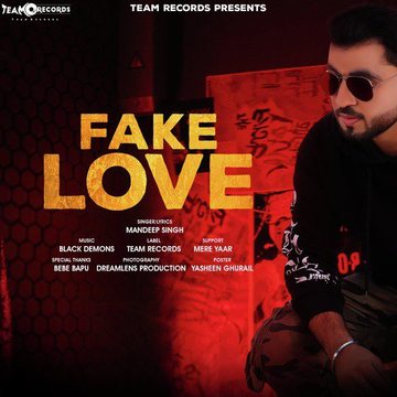 Fake Love