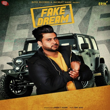 Fake Dream
