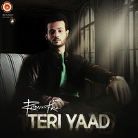 Teri Yaad