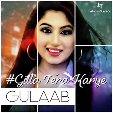 Gilla Tera Karye
