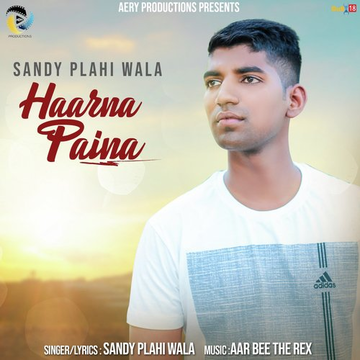Haarna Paina