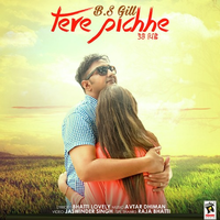 Tere Pichhe